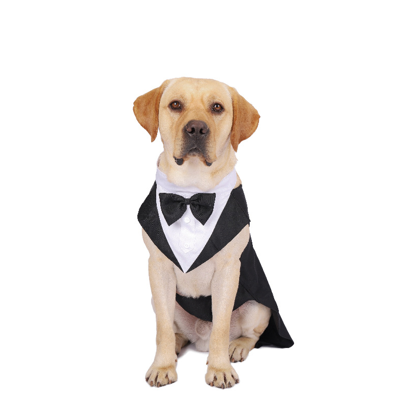 애완 동물 강아지 옷 패션 파티 쇼 정장 양복 넥타이  - Suitsupply Wedding Tuxedo 리뷰 및 가격